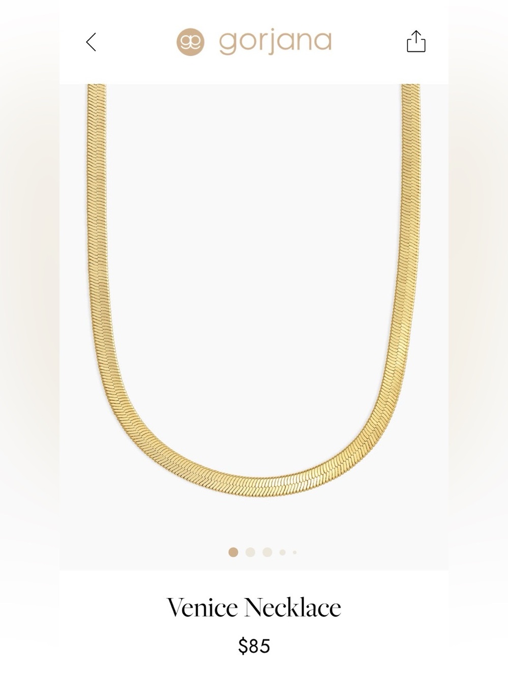 NWOT Gorjana Venice Herringbone Chain Necklace